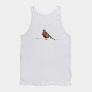 Robin on Barbed Wire Tank Top